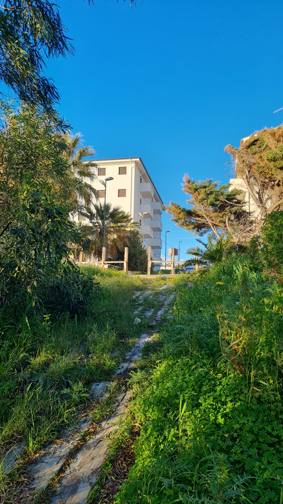Dettaglio esterno edificio - Zingarello Mare