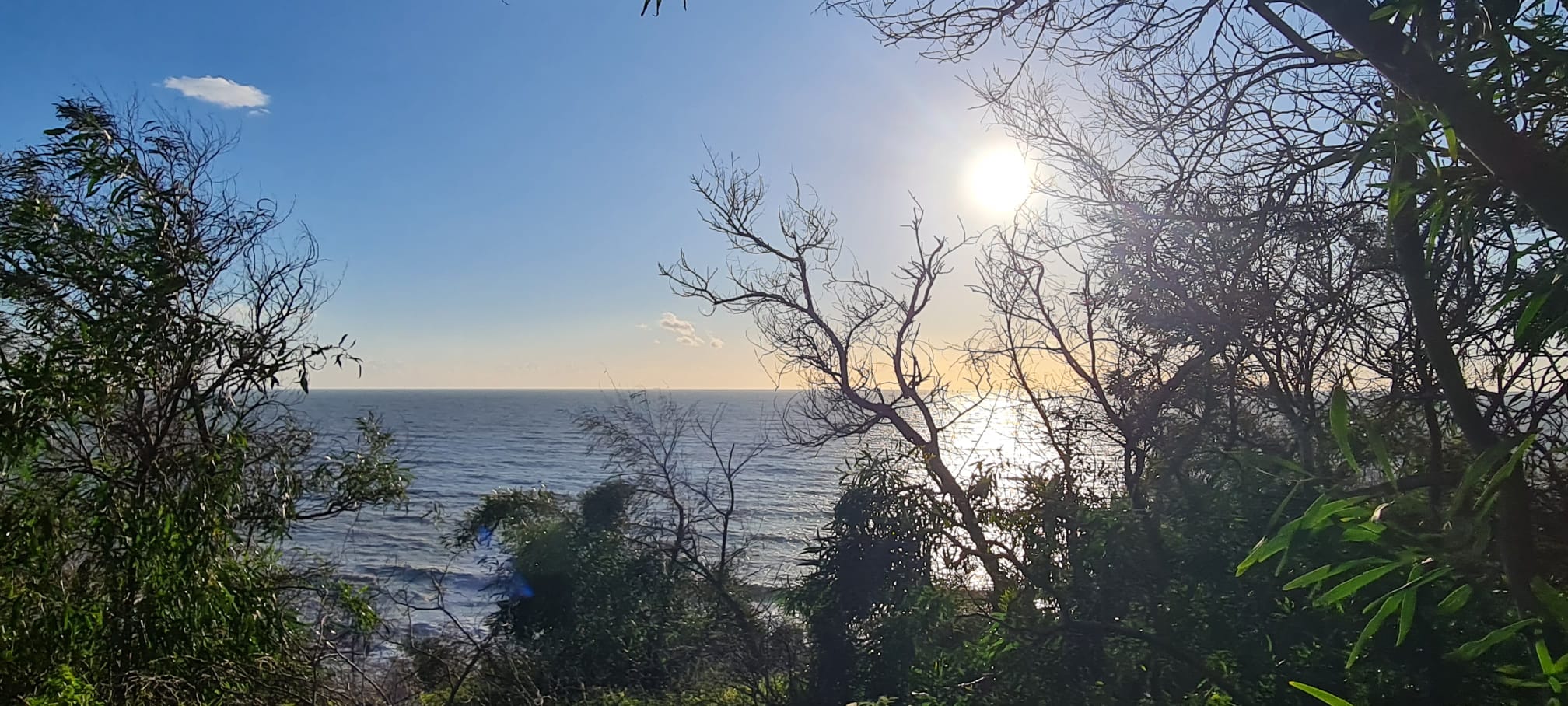 Dettaglio spiaggia - Zingarello Mare